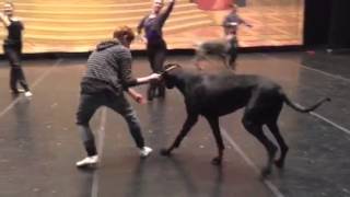 Mutt-Cracker rehearsal