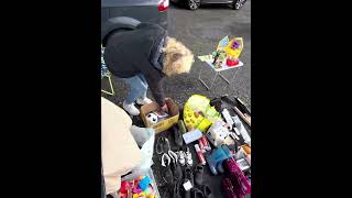 i Paid £3 Early Entry 😤 at this Carboot #carboot #carbootsale