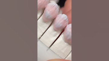 Layered Noritake Czr. A veneers handmade procedure.