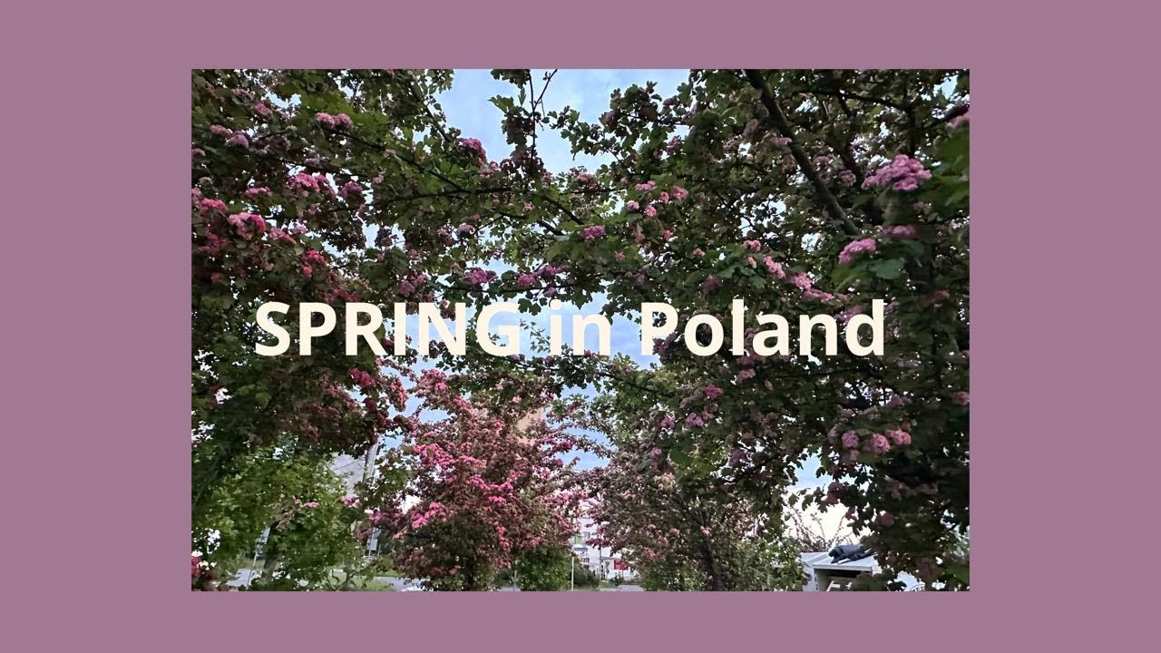 Spring In Poland Beautiful Spring in Poland 2025| Amazing nature |Warsaw walking|波蘭的春天 ...