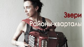 Звери - Районы-кварталы (cover)