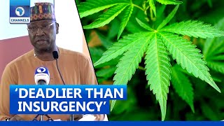 Drug Abuse Deadlier Than Insecurity – FG