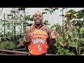 Tigers Fans - Win a VIP Trip to Cairns!