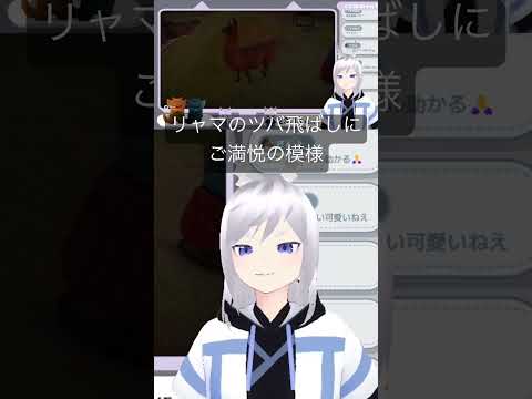 【配信切り抜き】リャマのツバ飛ばしを目撃して喜ぶ #vtuber