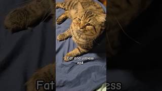 Fat and jobless ep4 #catsofyoutube #cutecatsdaily #fatcat