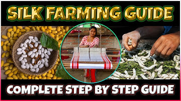 Silk Farming (Sericulture) | How Silkworm Cocoons Turned into Silk | Complete Process