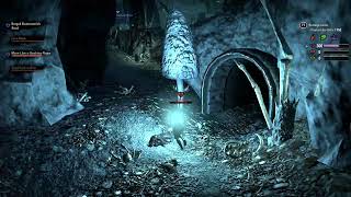TESO Battle animation bug