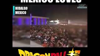 Mexican Fans R Crazy About Dragon Ball Super
