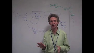 Intro to System Dynamics Video 13d - Whac-a-Mole