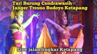 TARI BURUNG CENDRAWASIH JANGER TRESNO BUDOYO KETAPANG LIVE JALAN LINGKAR KETAPANG
