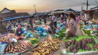 ຕະຫຼາດເຊົ້ານ້ຳບາກ 2024 ♡ เนื้อควาย หน่อขม...ตลาดเช้าน้ำบาก, หลวงพระบาง Lao market