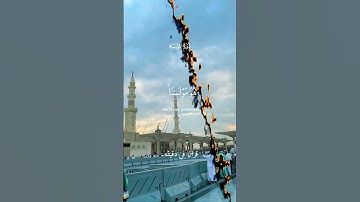 قران كريم ارح قلبك وسمعك #قران_في_دقيقة #قرآن #quran #ياسر_الدوسري @قران_في_دقيقة