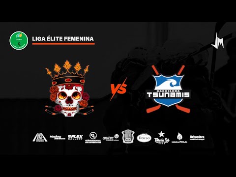 Skulls Almàssera VS PGKA Tsunamis Barcelona hockey linea