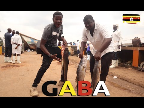 This is the Biggest Fish Market in UGANDA | Gaba Landing Site