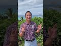 Klipper Quicks: PPP - Public Partners Program (Episode 64: 5-23-2025)