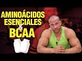  aminocidos esenciales vs bcaa  qu son y para qu sirven