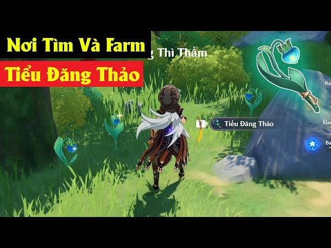 Video Nơi Tìm Và Farm Cây Tiểu Đăng Thảo Trong Genshin Impact - youtube
