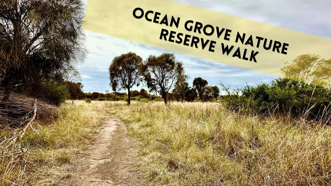 Ocean Grove Nature Reserve Walk - April 2023