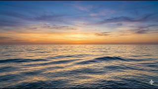 Carried by Slow Waves
