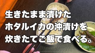 【飯テロ】ホタルイカ身投げで掬ったホタルイカで作った沖漬けで炊きたてご飯をたべる。