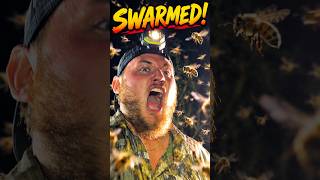 We Caught the Python… Then the Bees Attacked We Caught the Python… Then the Bees Attacked