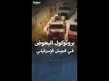 بروتوكول البعوض في الجيش الإسرائيلي 
