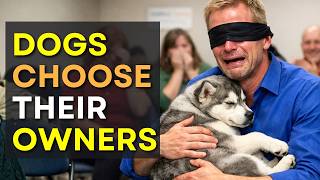 We Let Dogs Pick Their Families on Adoption Day And THIS Happened 😢
