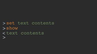 Building the world's worst text editor Net Worth