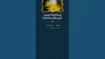القارئ /أحمد جليل مولوي #تلاوات #قرآن #حالات_واتس