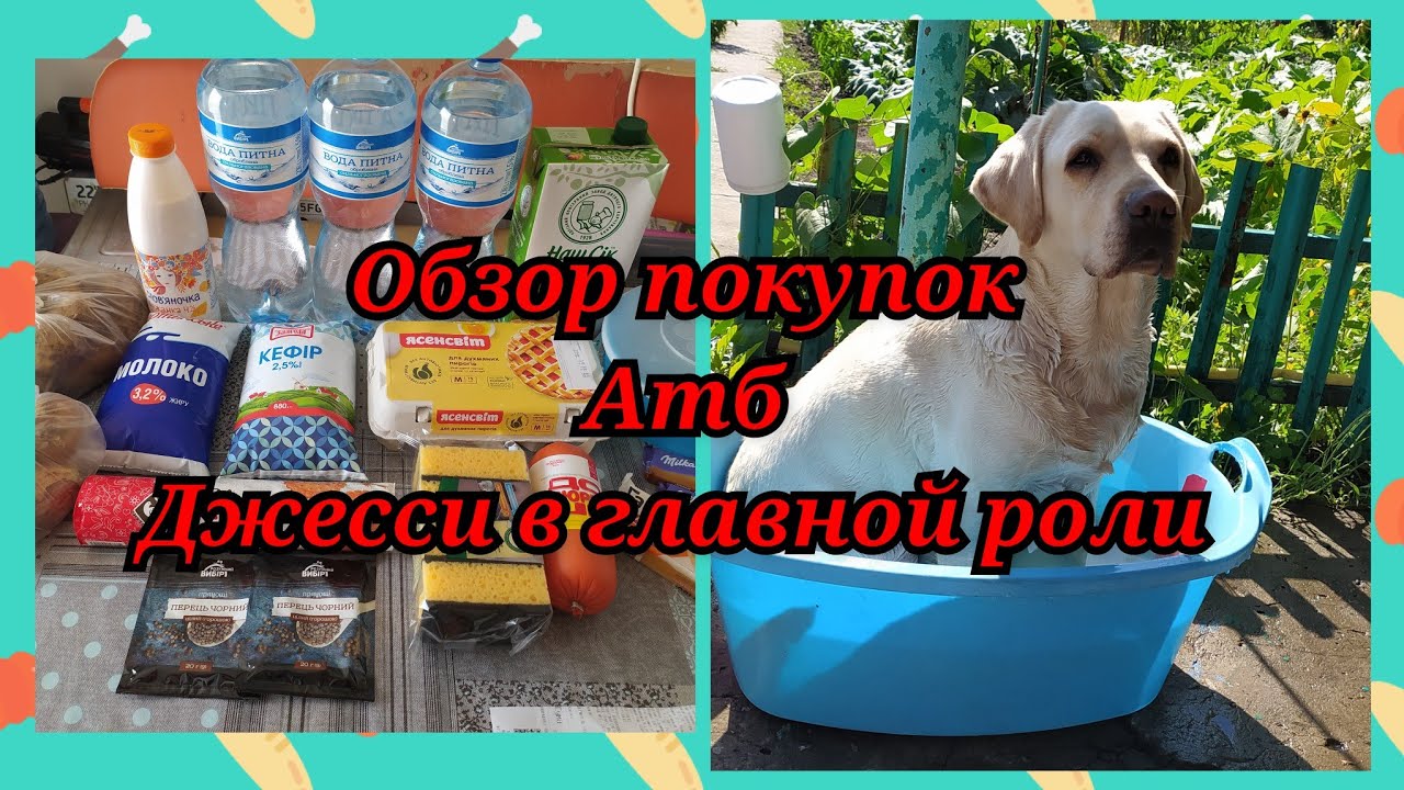 Закупились на дачу #АТБ ️Цены - YouTube