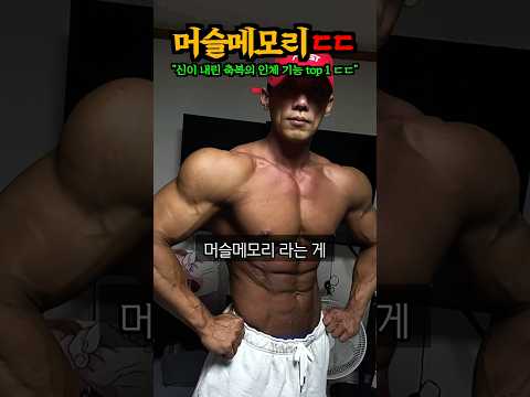 “진짜 개지리는 머슬메모리 ㄷㄷ” 인간이 신에게 부여받은 최고의 신체 기능이라고 불리는 머슬메모리가 진짜 개쩌는 이유 대공개 ㄷㄷㄷㄷ