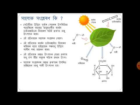 ভিডিও: সংশ্লেষণ কী