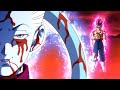Whis is coming for ultra vegito