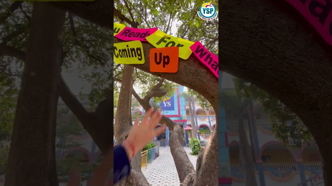 ✨ Get Ready to Be Impressed! ✨