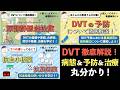 【DVT徹底解説!】病態 & 予防 & 治療が丸分かり!