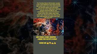 JWST Reveals Cosmic Tarantula 🕷️ | Insane Star Factory in Space!