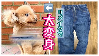sewing】服リメイク デニムを愛犬のハーネスに！！ やばいの出来た(*ﾟ