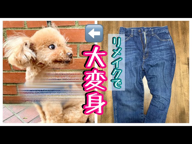 sewing】服リメイク デニムを愛犬のハーネスに！！ やばいの出来た(*ﾟ
