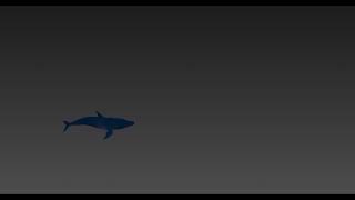 3D low poly Dolphin