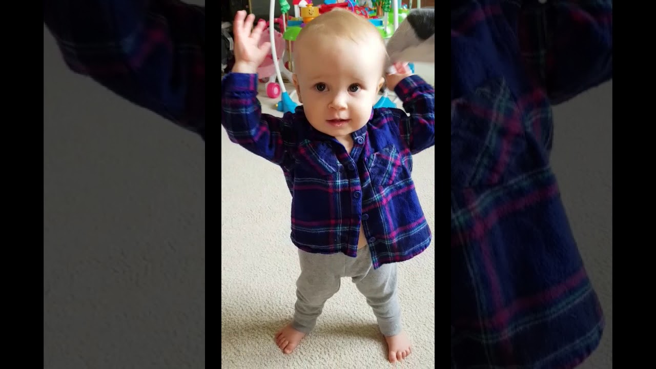 camera iphone 8 plus apk Soxheed