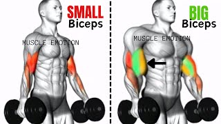 5 BEST BICEPS WORKOUT AT GYM TO GET BIGGER ARMS FAST#bicepsworkout