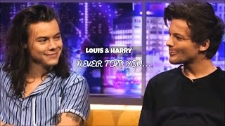 Louis &amp; Harry - Never told you