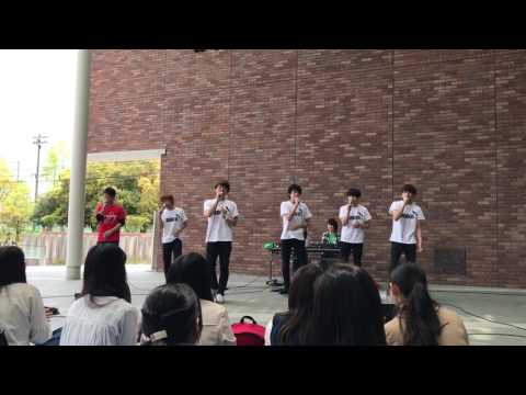 【新歓LIVE2017】Mr.DOBERMAN/イケナイ太陽feat勝手にシンドバッド