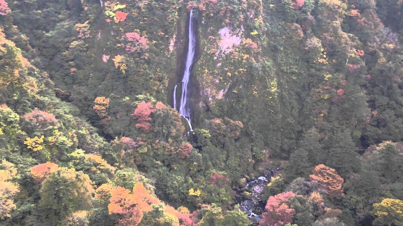 九重の大吊橋の紅葉の見頃は 震動の滝は絶景 アクセスは Definitely
