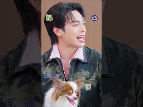 [#SHORTS CLIP] เอาหมามาฝากไปเลยสิคะ l Pet Lab l One Playground