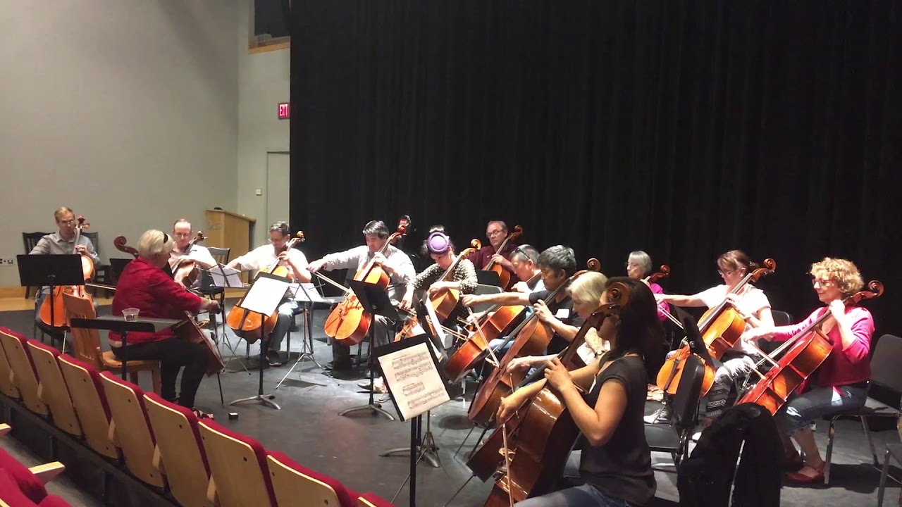 Amateur Music Network Cello Workshop with Irene Sharp