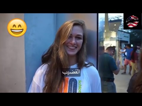 فيديو: اسأل مدرب كلب: هل يجب أن يكون لكلبي خيارات؟