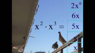 x ² ∙ x ³ = ... 2x⁶?  6x?  5x?  x⁶?  x⁵? What is "x squared times x cubed"? middle school math traps