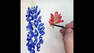 Texas Bluebonnet and Indian Paintbrush