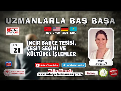 Video: Bölge 9 Narenciye Çeşitleri: Bölge 9'da Büyüyen Narenciye Ağaçlarını Seçme